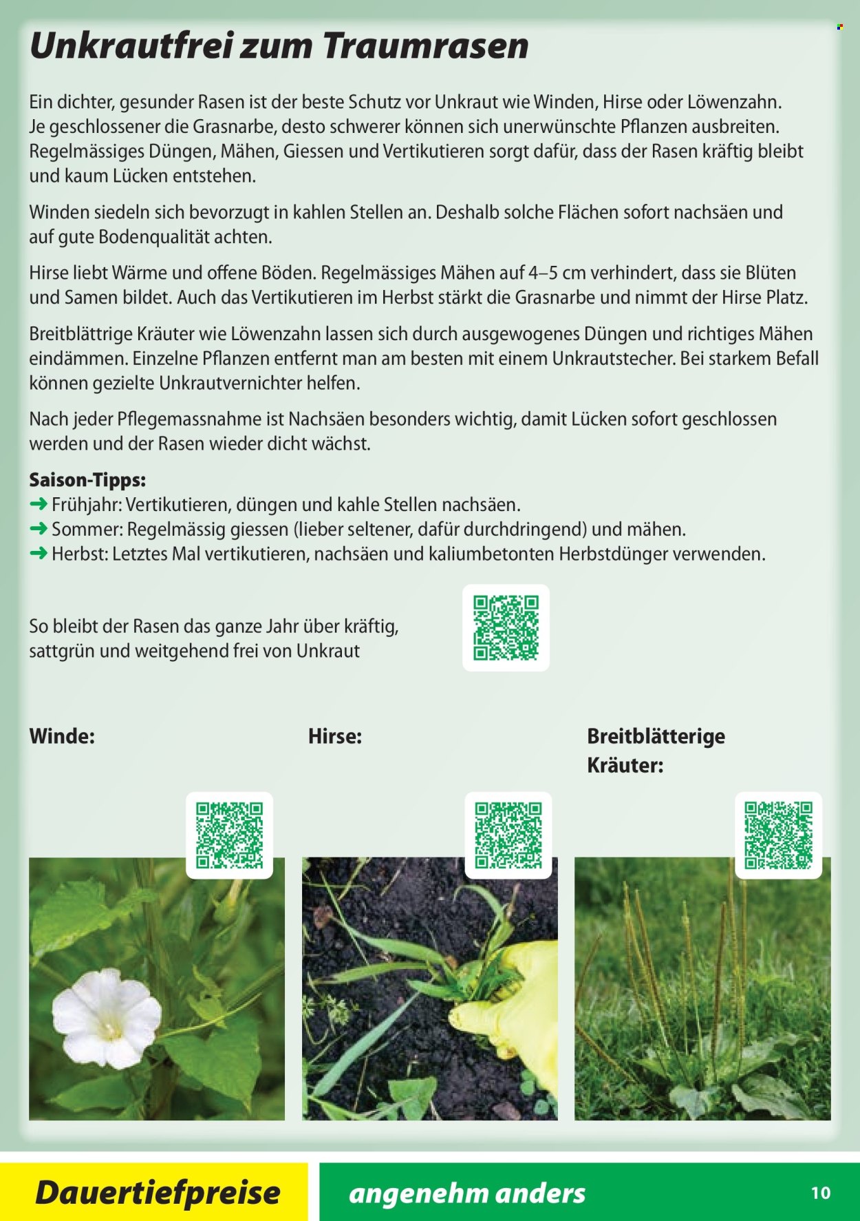 Catalogue Landi - 28.1.2026 - 31.10.2026. Page 10