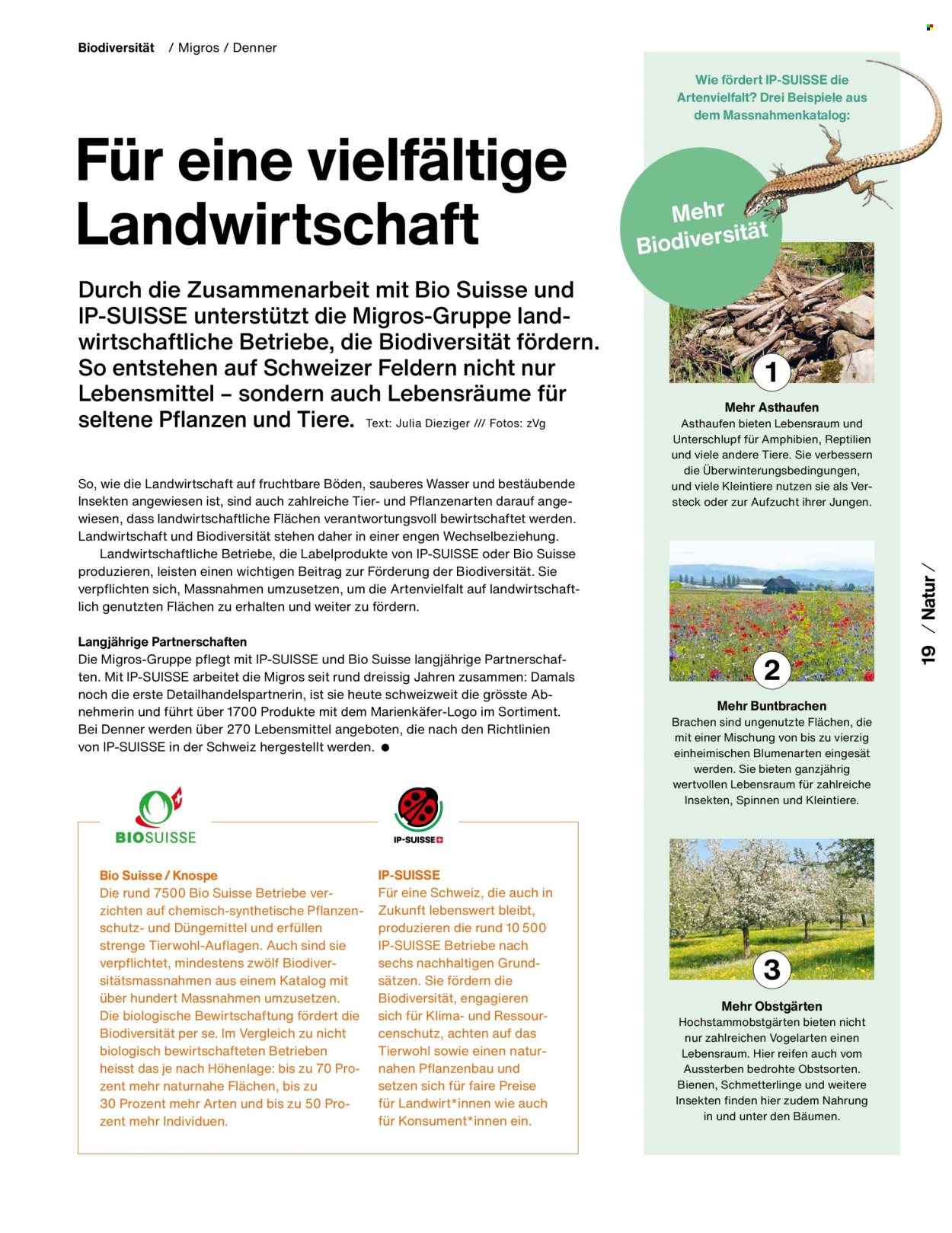 Catalogue Migros. Page 21