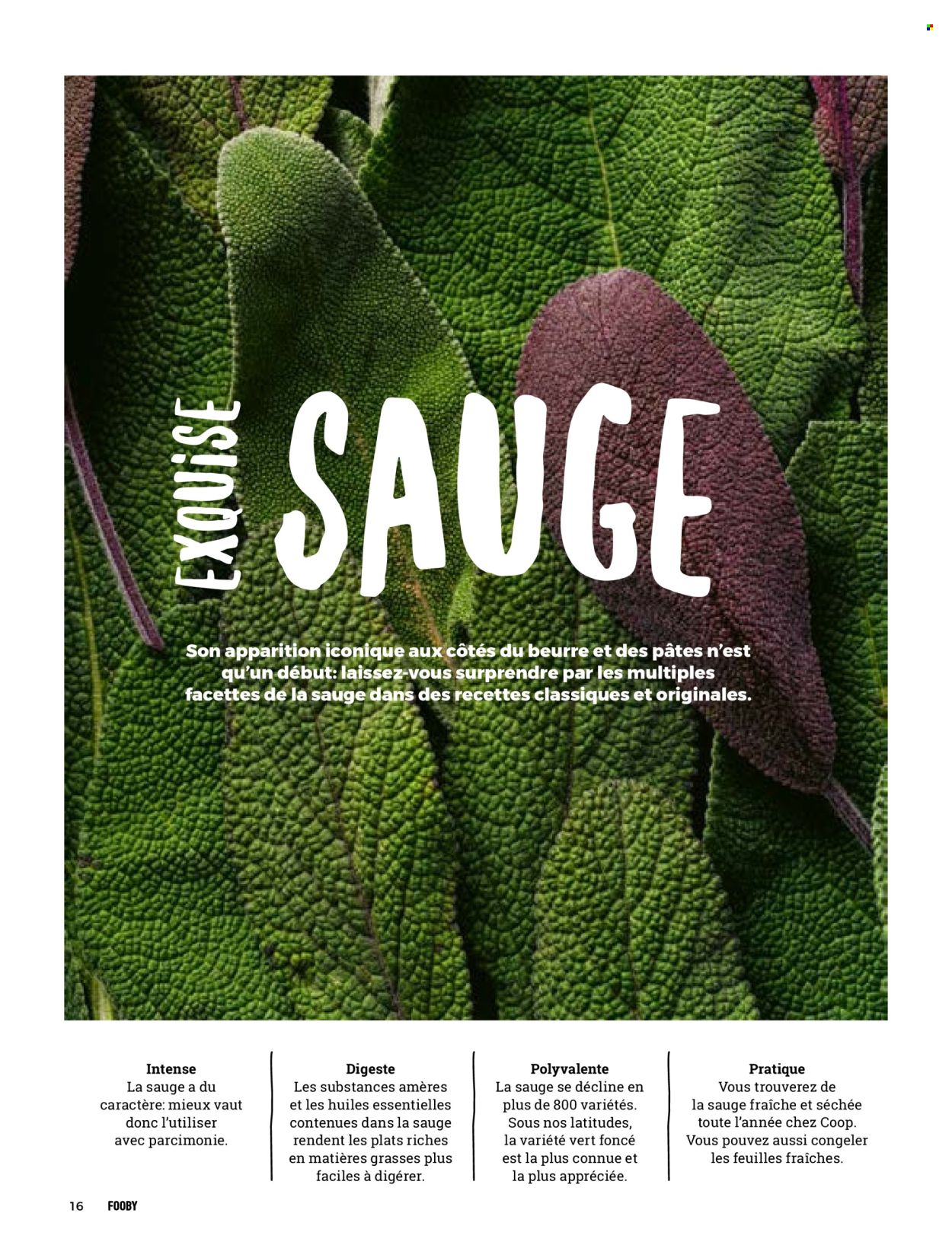 Catalogue Coop. Page 18
