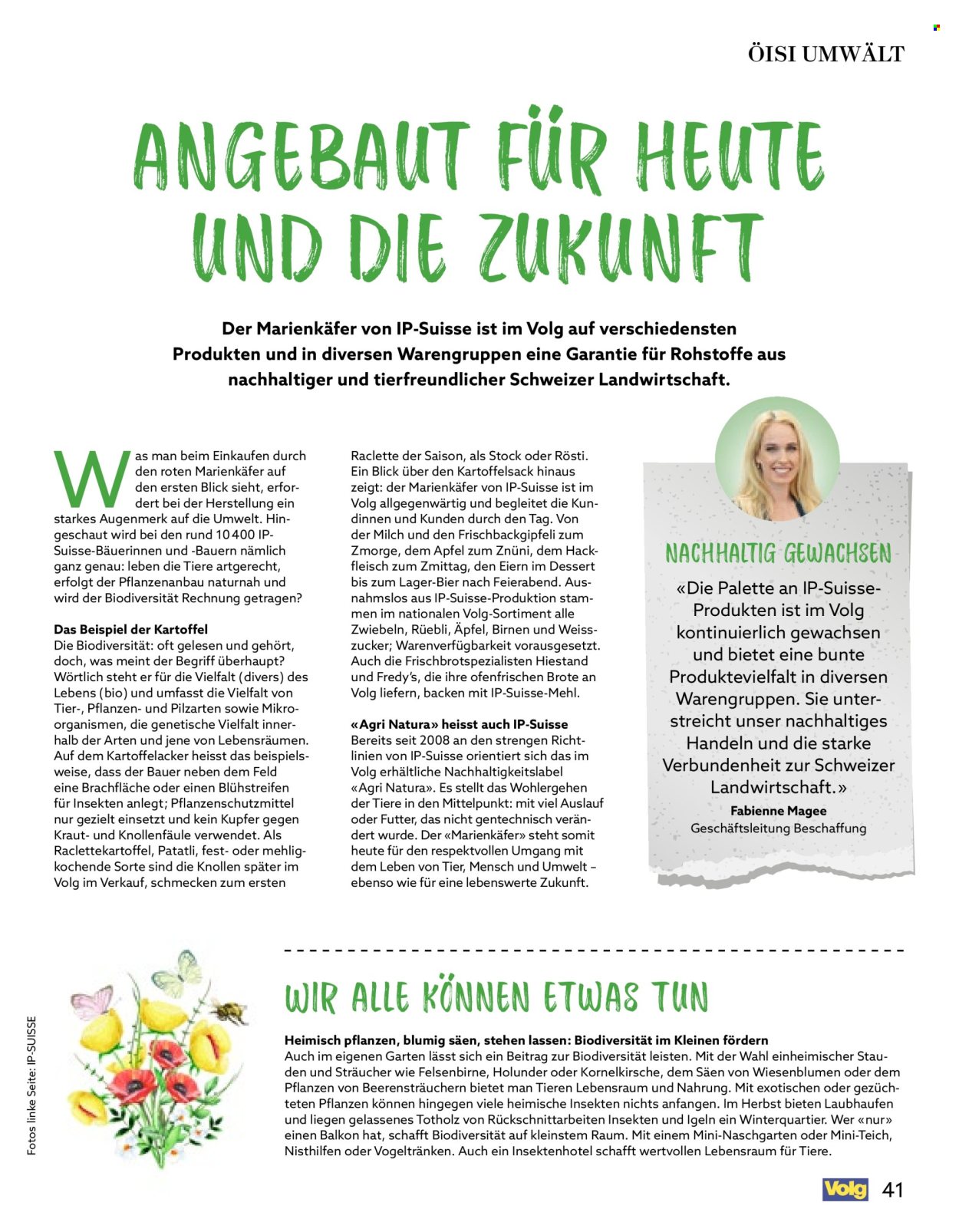 Catalogue Volg - 1.10.2026 - 31.10.2026. Page 41