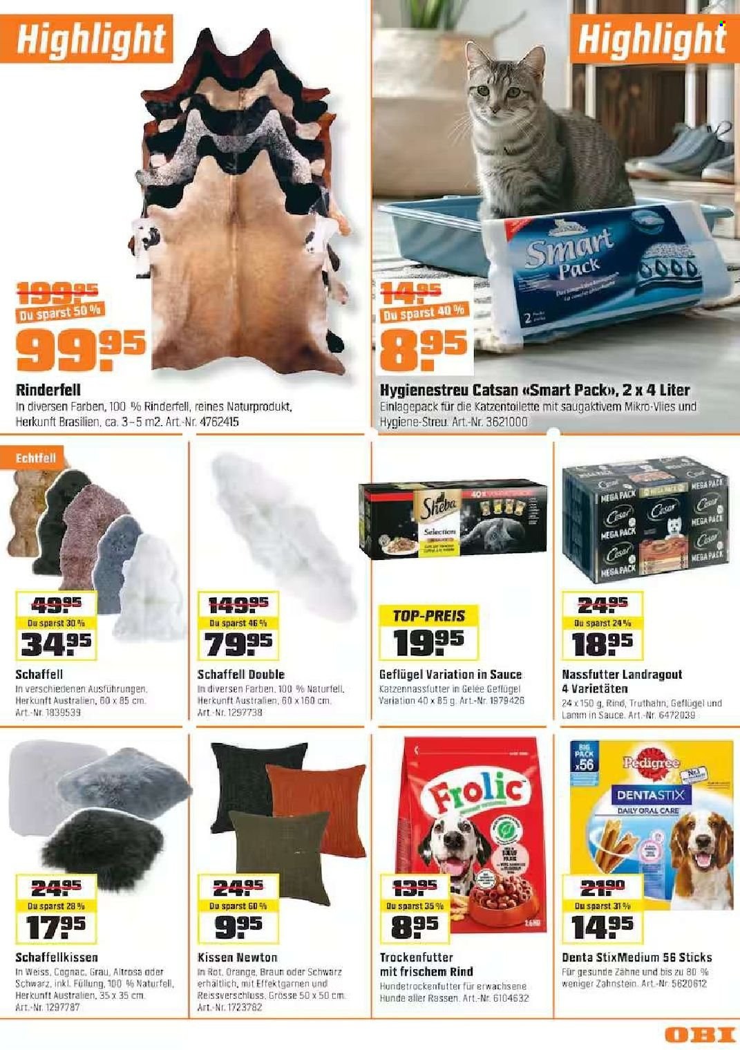 Catalogue OBI - 7.10.2026 - 1.11.2026. Page 13