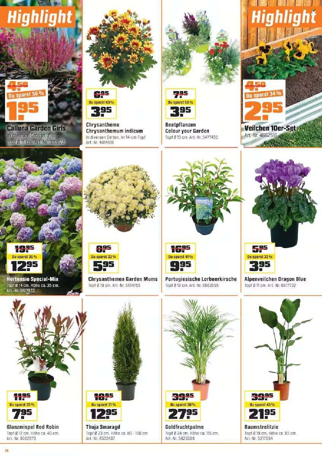 Catalogue OBI - 7.10.2026 - 1.11.2026. Page 14