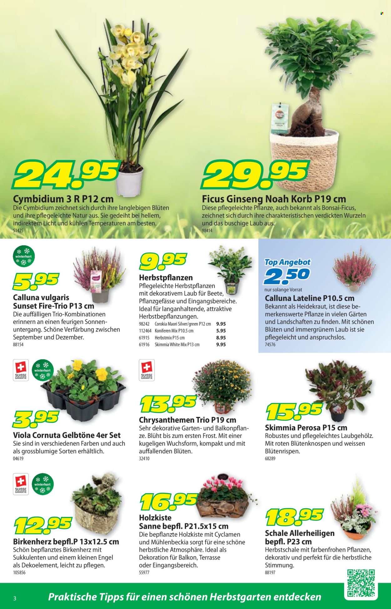 Catalogue Landi - 12.10.2026 - 25.10.2026. Page 3