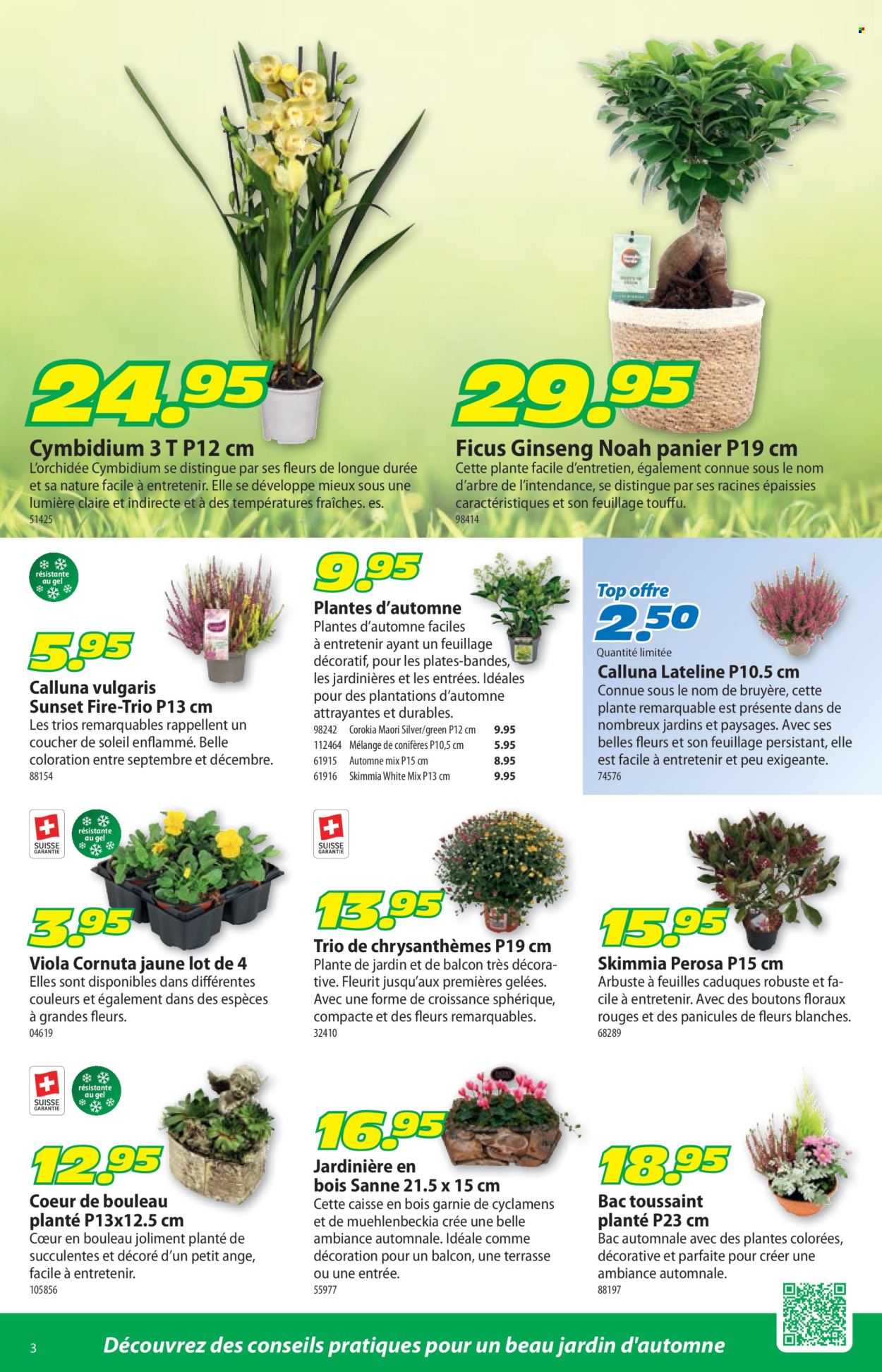 Catalogue Landi - 12.10.2026 - 25.10.2026. Page 3