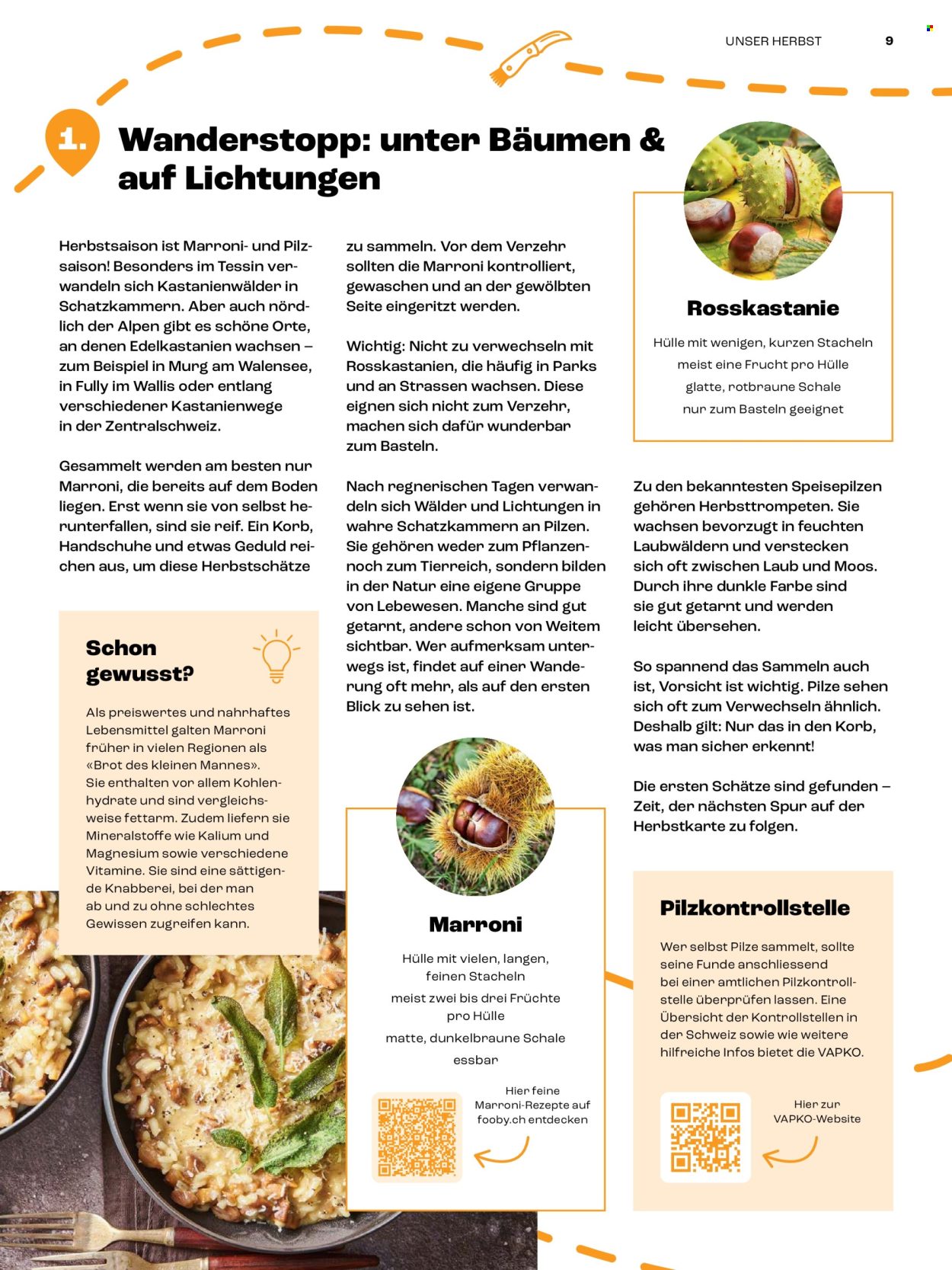Catalogue Coop. Page 9
