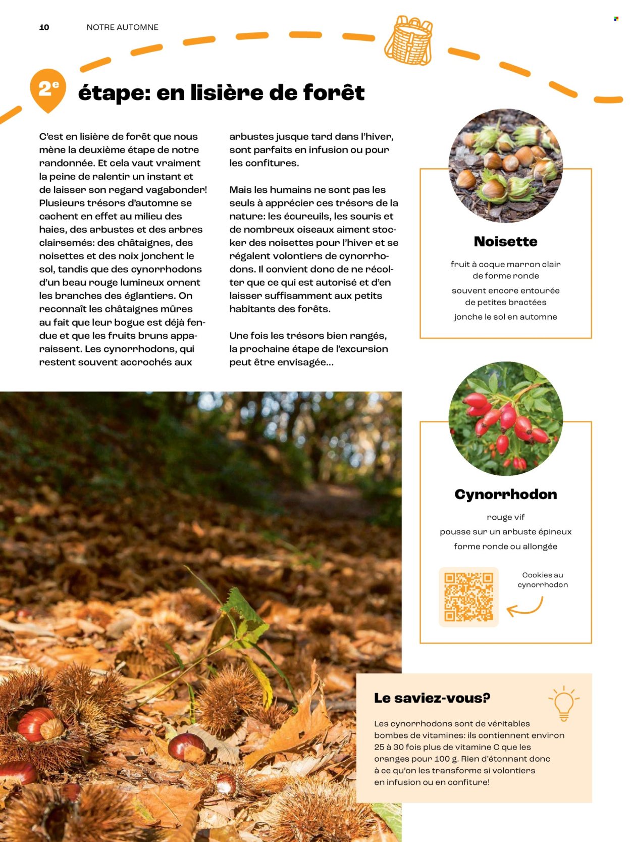 Catalogue Coop. Page 10