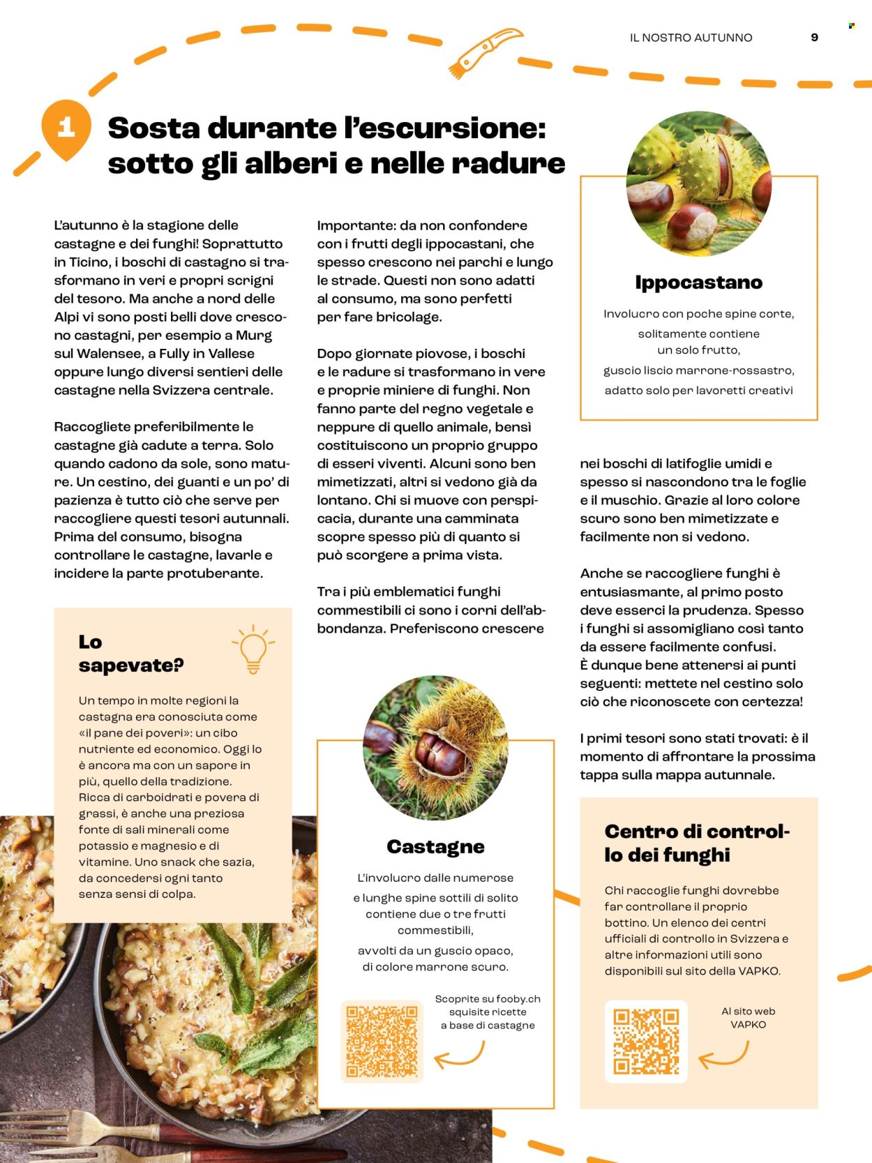 Catalogue Coop. Page 9