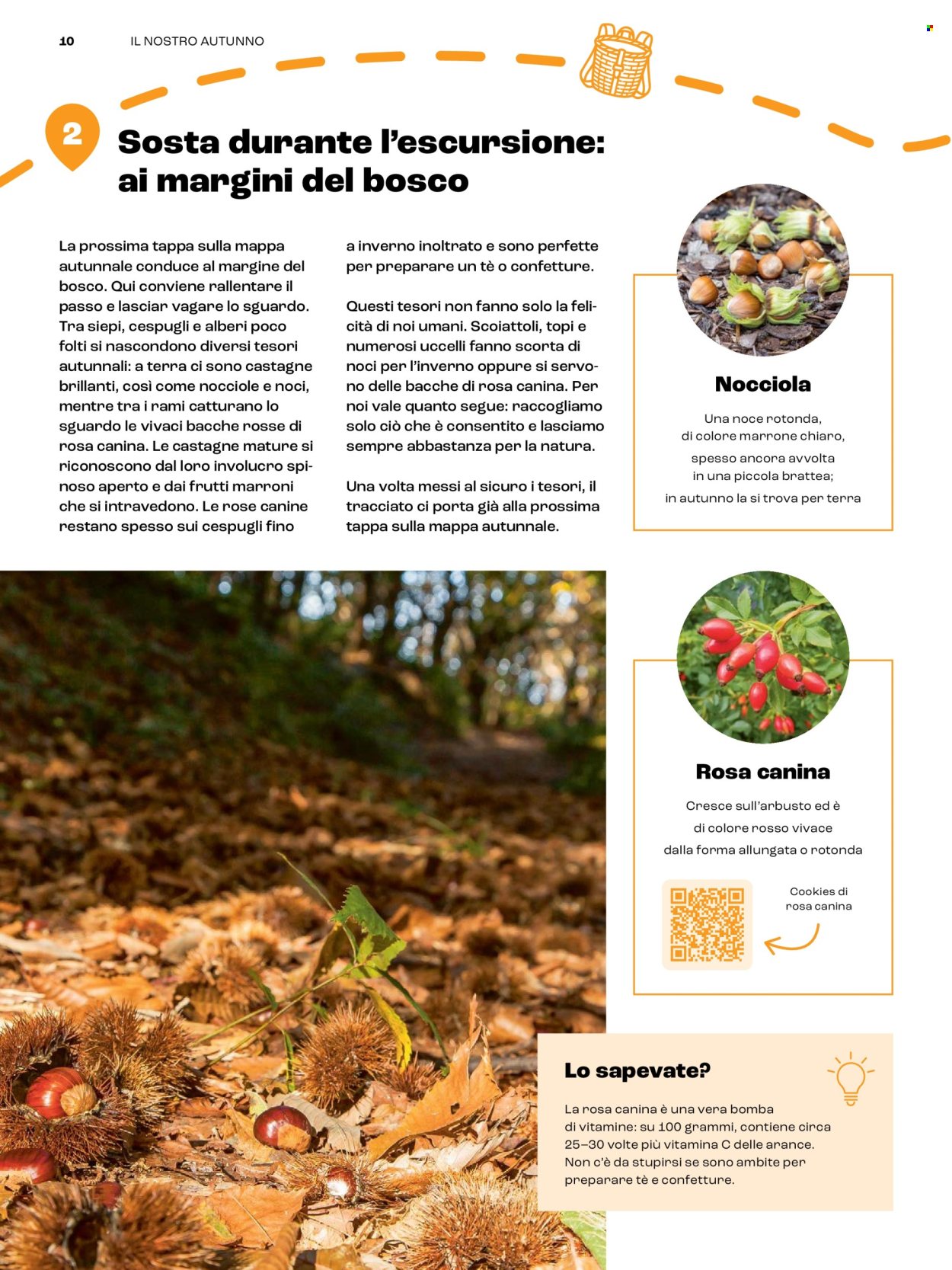 Catalogue Coop. Page 10
