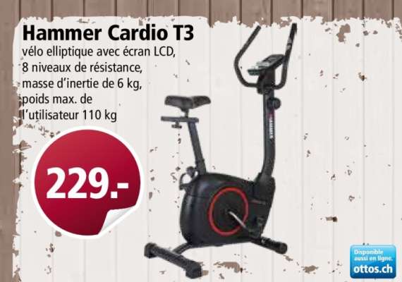 Hammer Cardio T3