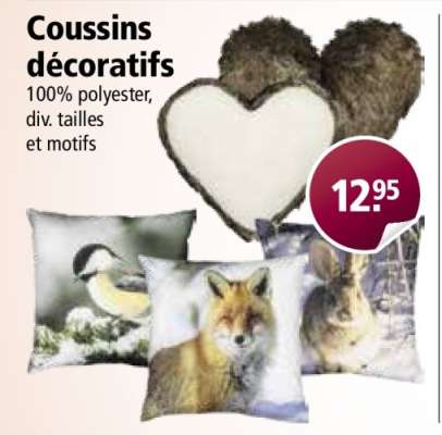 Coussins décoratifs