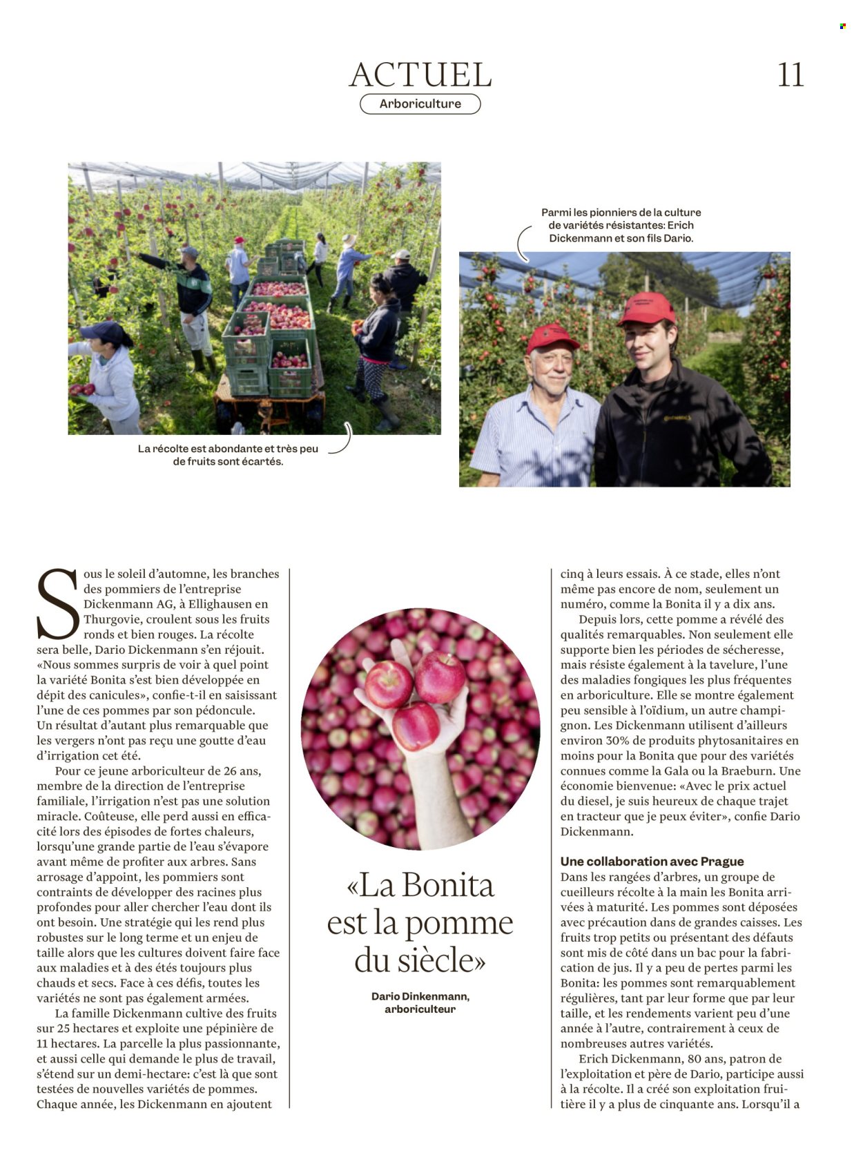 Catalogue Migros - 21.10.2026 - 28.10.2026. Page 11